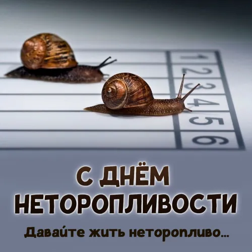 Открытки на Всемирный день неторопливости (30 картинок). Прикольные картинки с Днем неторопливости