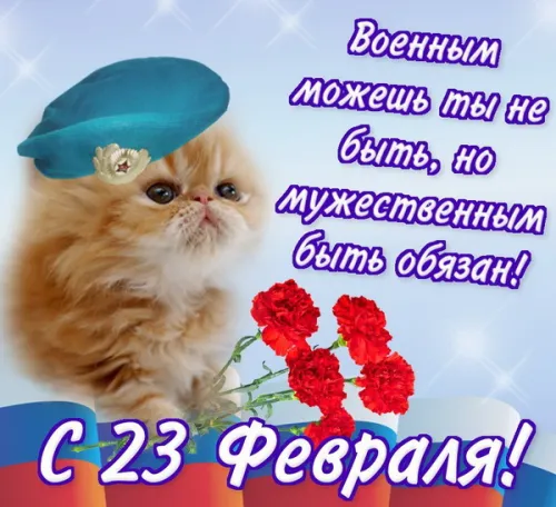 Открытки любимому, мужу на 23 февраля (65 картинок). Прикольные и красивые картинки на 23 февраля любимому, мужу