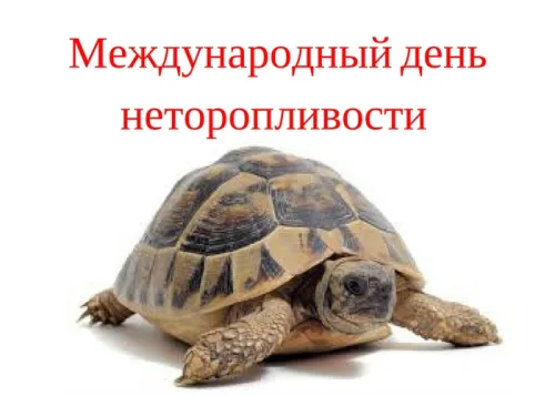 Открытки на Всемирный день неторопливости (30 картинок). Прикольные картинки с Днем неторопливости