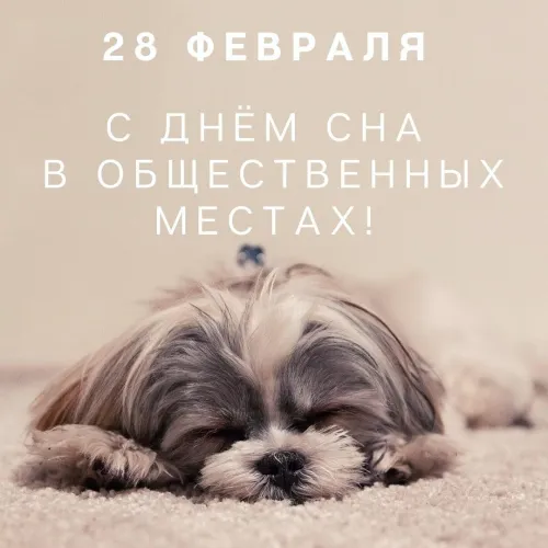 Открытки на День сна в общественных местах (15 картинок). Прикольные картинки и открытки с Днем сна в общественных местах